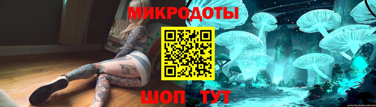 Избербаш  закладки  Вход с VPN  Псилоцибиновые грибы GOLDEN TEACHER 